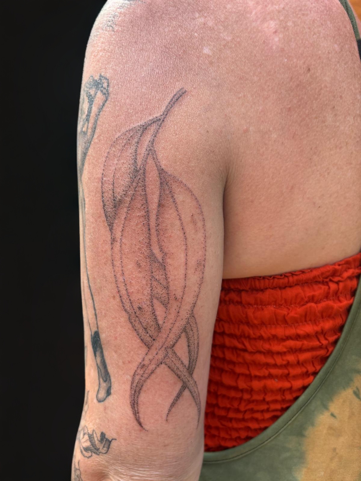Fine-line eucalyptus leaves tattoo on upper arm